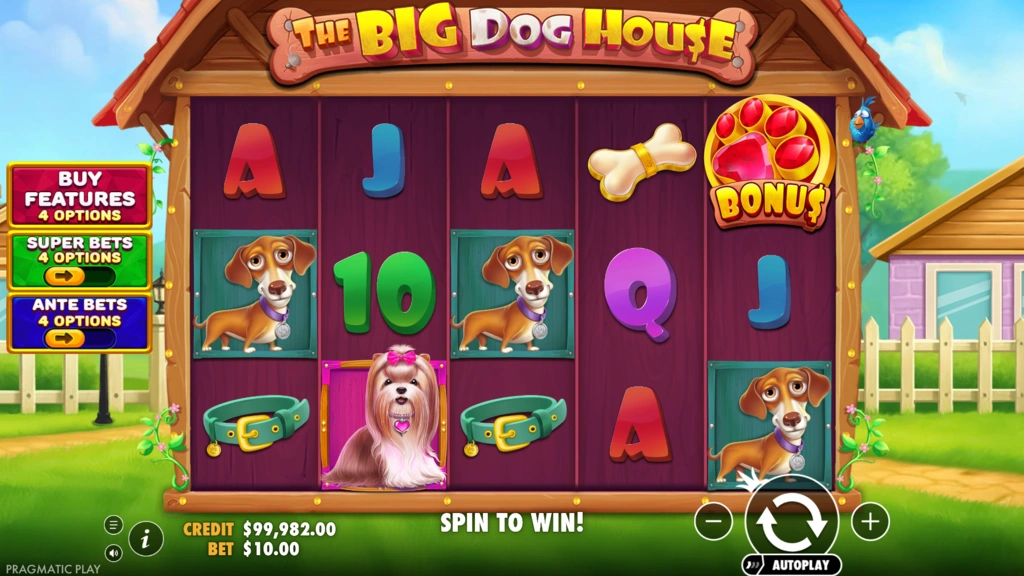 The Big Dogs House Base Game
